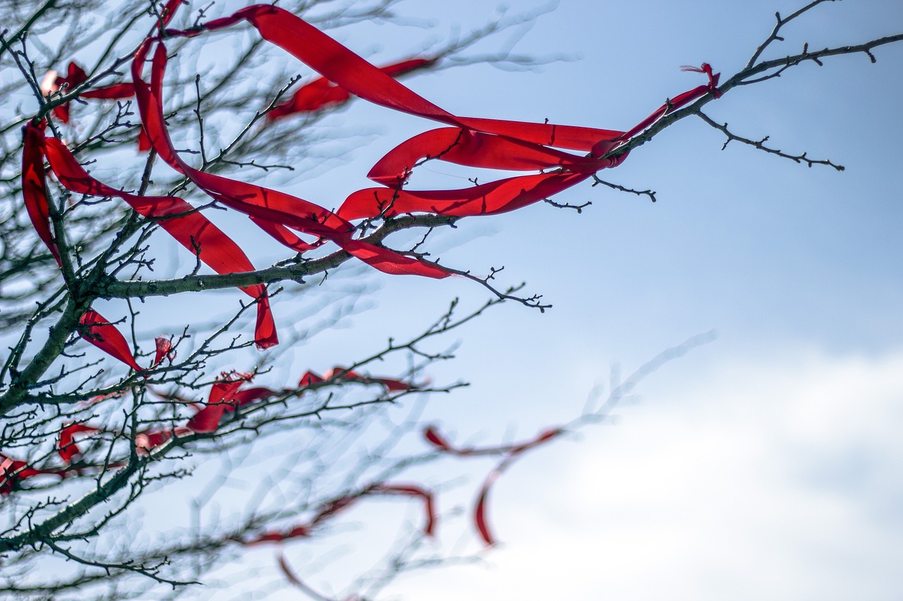 Tangled in red tape